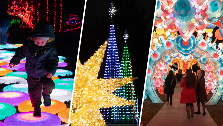 Merry and bright: Where to find holiday light displays in the DC area