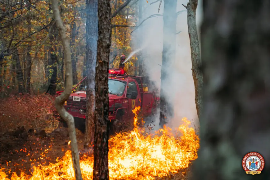 NJ teen charged with intentionally starting 52-acre wildfire, may be linked to another