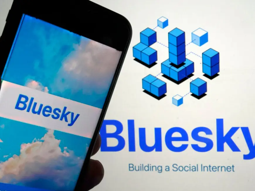 Bluesky has added 1 million users since the U.S. election as people seek alternatives to X