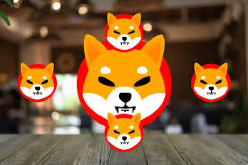 Crypto Analyst Predicts Major Price Crash For Shiba Inu, But It’s Not All Bad News