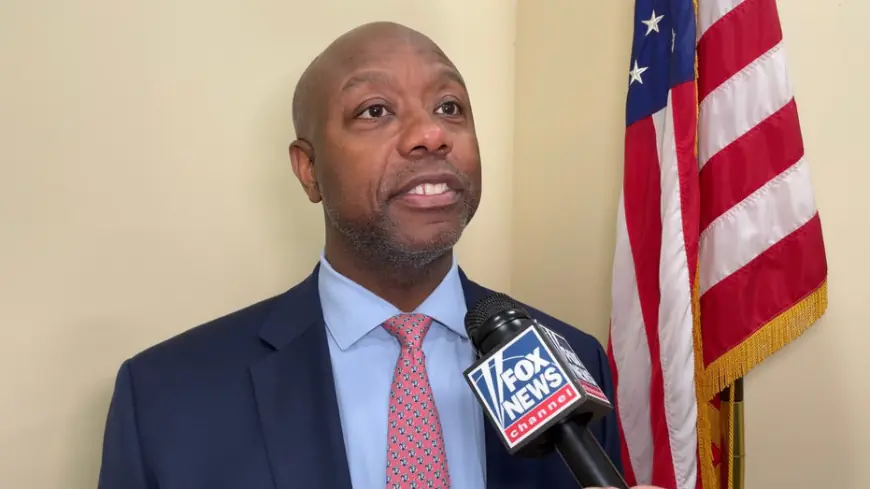 Trump ally Sen. Tim Scott's new mission to help incoming president: 'increase the majority'