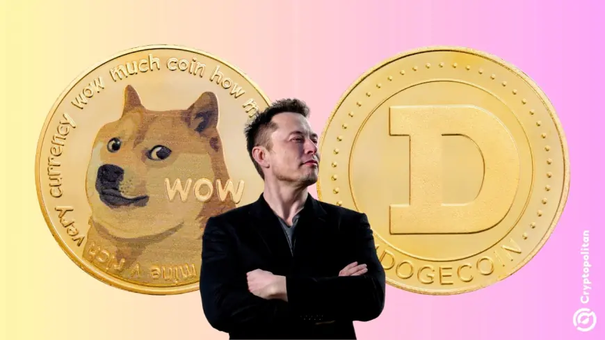 Elon Musk cleared from Dogecoin rigging lawsuit