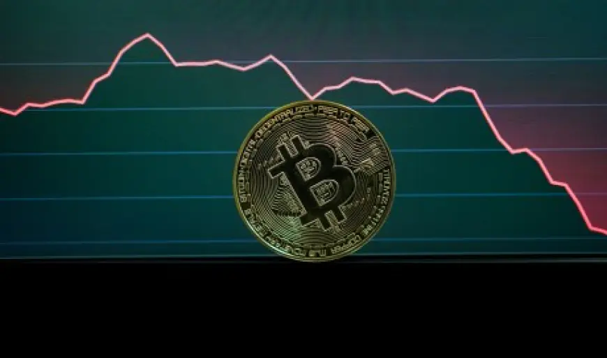 Bitcoin Bears In Trouble: $800 Million Set For Liquidation If BTC Reclaims This Price