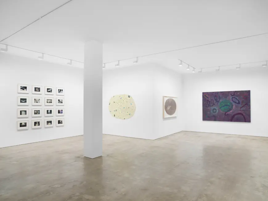 ‘Inner Space’ at Garth Greenan Celebrates Abstractionist Howardena Pindell