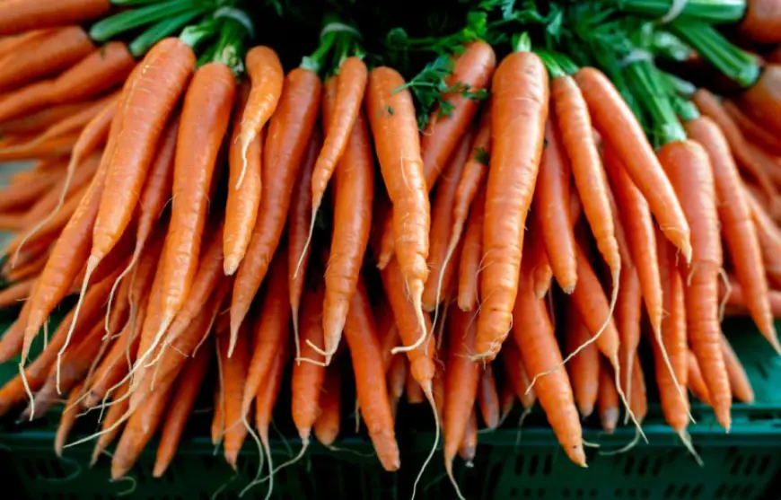 Deadly E. coli outbreak linked to organic carrots sold in Missouri, other states