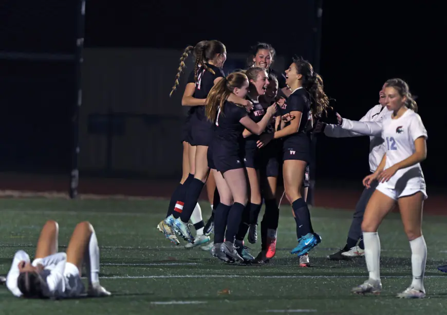 Wellesley girls edge Brookline to make Div. 2 final