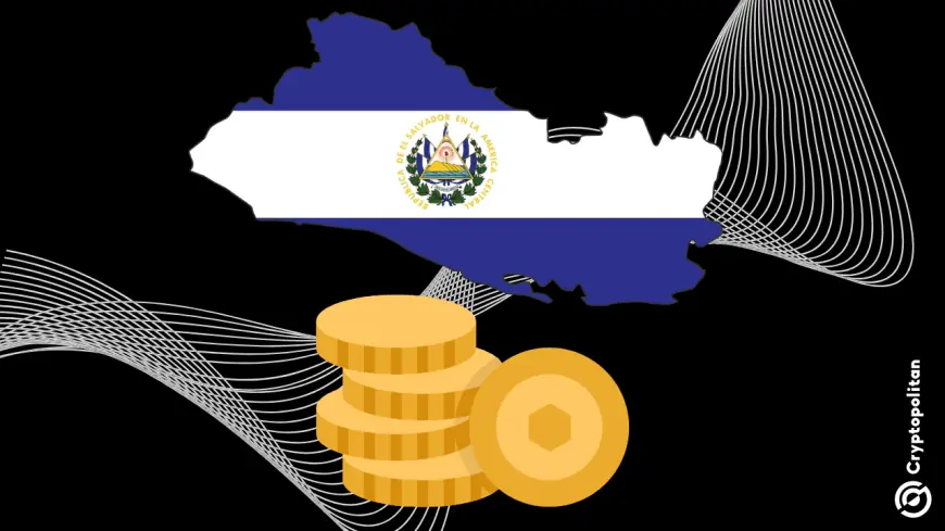 El Salvador to debut its first tokenized US T-bills Offering Sources