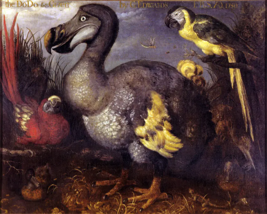 Democrats and the Dodo