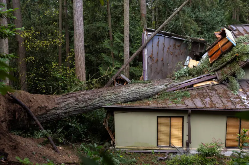 At least 2 dead after bomb cyclone slams Seattle area, over 700K without power