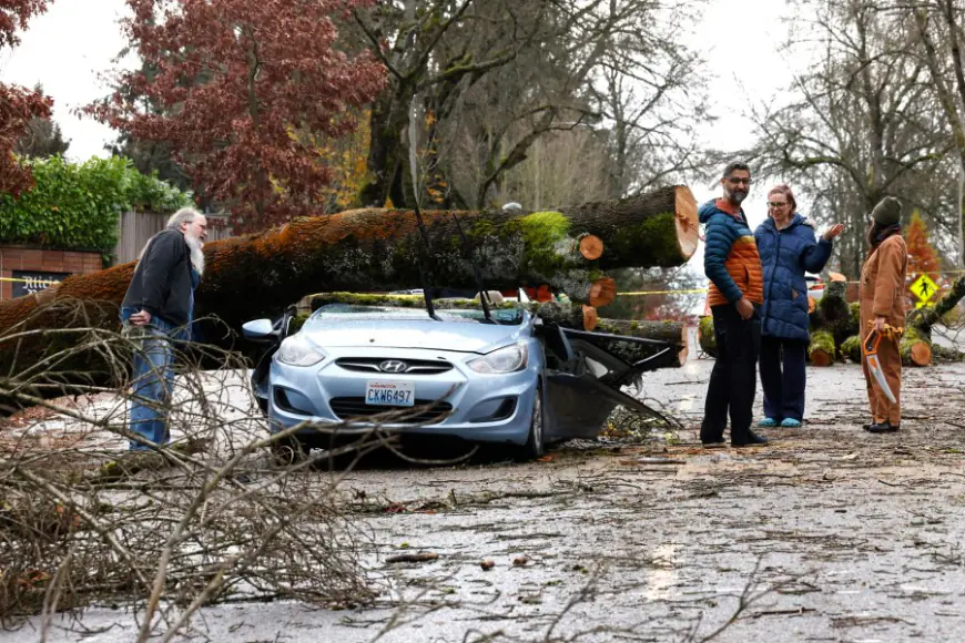 'Bomb cyclone' kills 2 and knocks out power to over half a million homes across the Northwest US