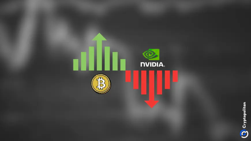 Stocks slip on disappointing Nvidia results, Bitcoin defies the trend