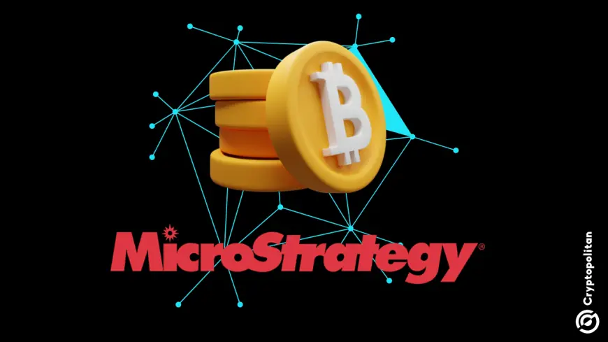 Bitcoin whale MicroStrategy sees its stock plunge after Citron bets against it