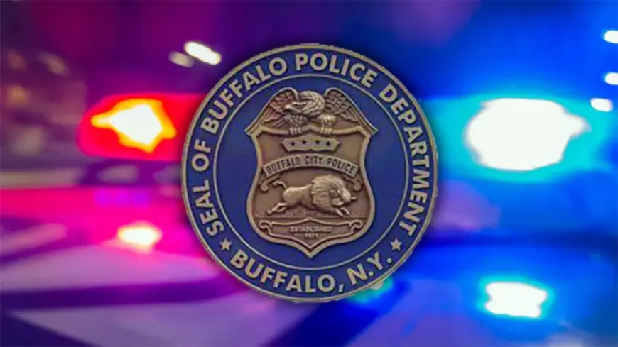 2 gun calls made in 1 day in City of Buffalo