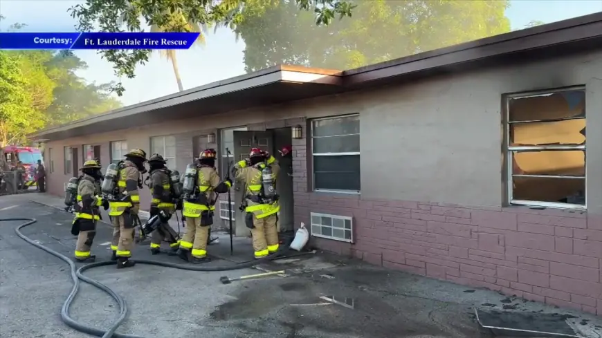 Family dog dies after Fort Lauderdale apartment catches fire, no injuries