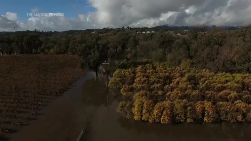 California vineyard is flooded after major storm sweeps across Pacific Northwest