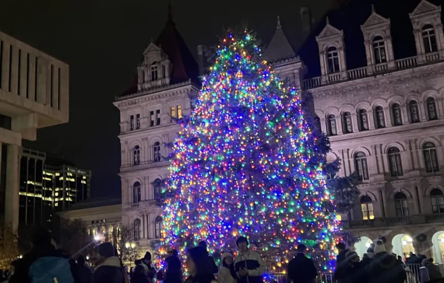 Capital Region tree lightings kick off holiday season