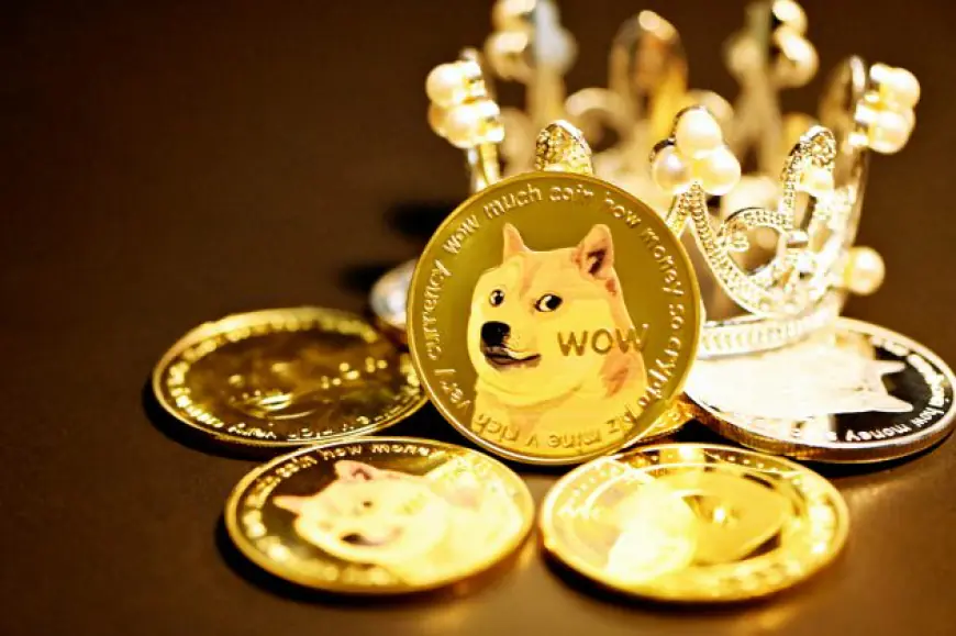 Dogecoin Rally Halts, Setting The Stage For Potential Price Correction, Here’s Why