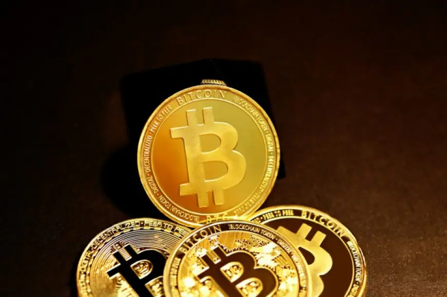 Semler Scientific Grows Bitcoin Portfolio With 297 BTC Purchase