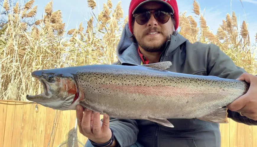 Chicago fishing: Hopes build for lakefront perch and for ice fishing