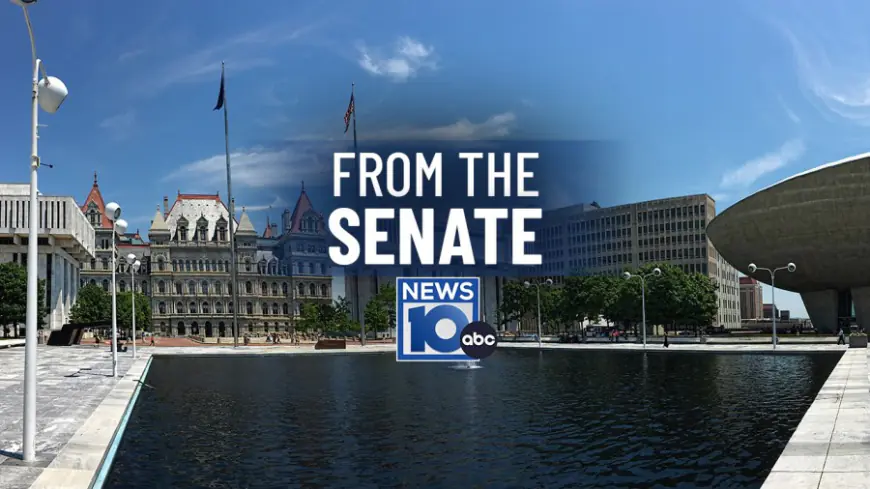 State Senate hearing examines business subsidies and entertainment credits