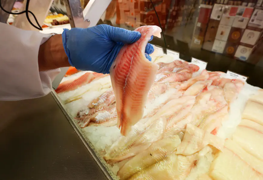 Testing reveals frequent instances of mislabeled fish sold in Chicago area