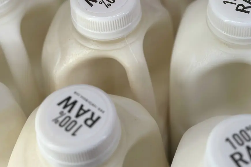 Bird Flu Virus Was Found in Raw Milk — Here’s What to Know About the Risks