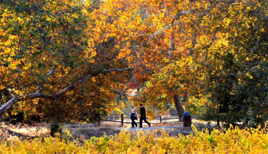 A “crisp, fall-like weekend”: Bay Area to see a cold, dry holiday break