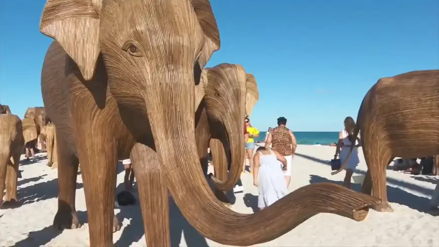 Art Week takes over Miami Beach with 100 sculpted elephants and underwater sculpture park