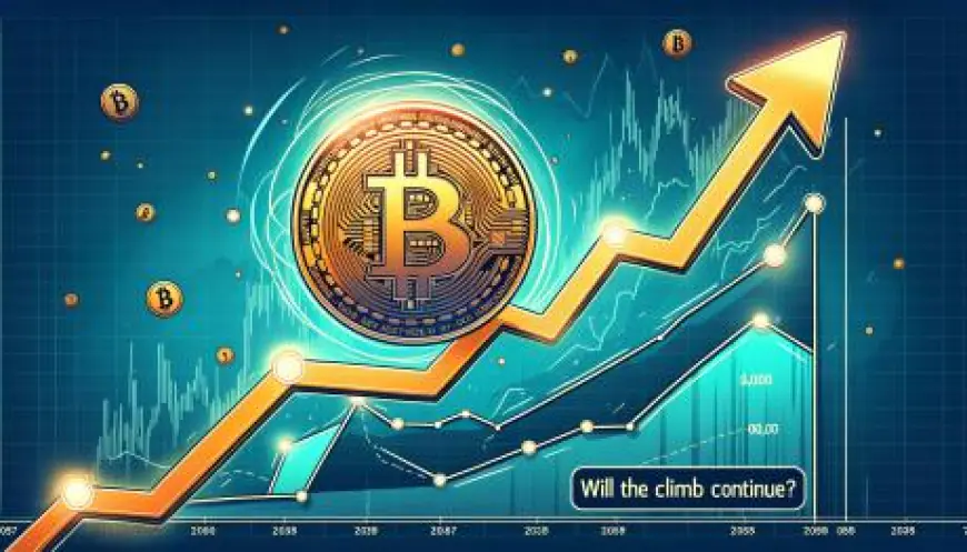 Bitcoin Price Bounces Back: Will the Climb Continue?