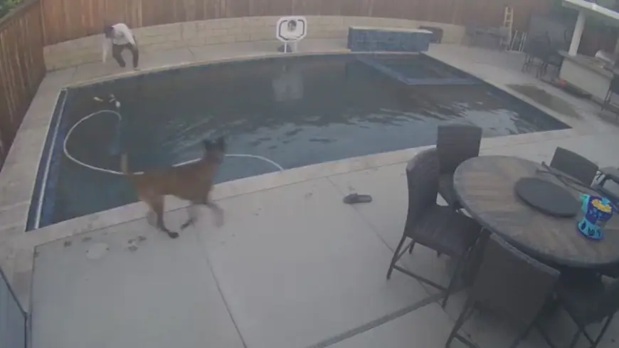 Video shows toddler fall into pool, save himself