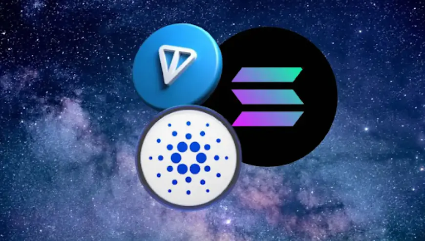 With the Market on Pause, Is Now the Perfect Time to Buy Solana, Toncoin, or Cardano?
