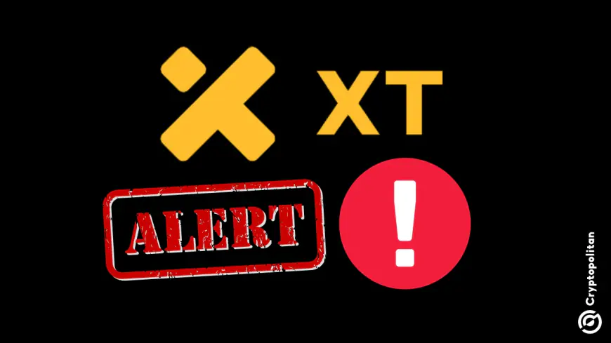 XT.com crypto exchange loses 1M USDT in hack and suspends withdrawals to secure users’ funds