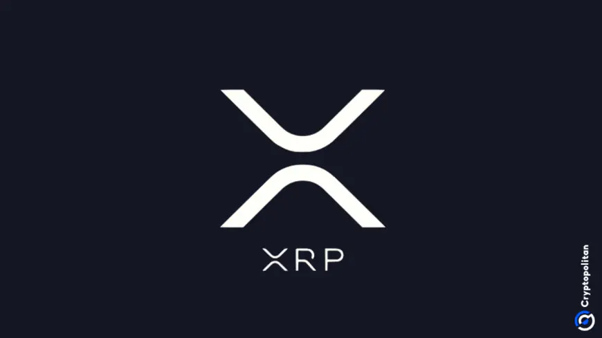 XRP overtakes BNB in market capitalization surpassing $100 Billion