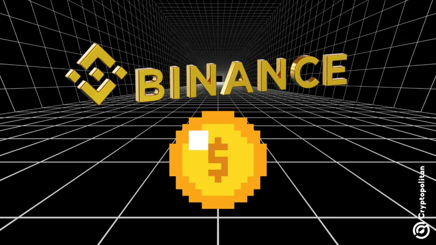 Binance CMO says meme coin listings are not guaranteed