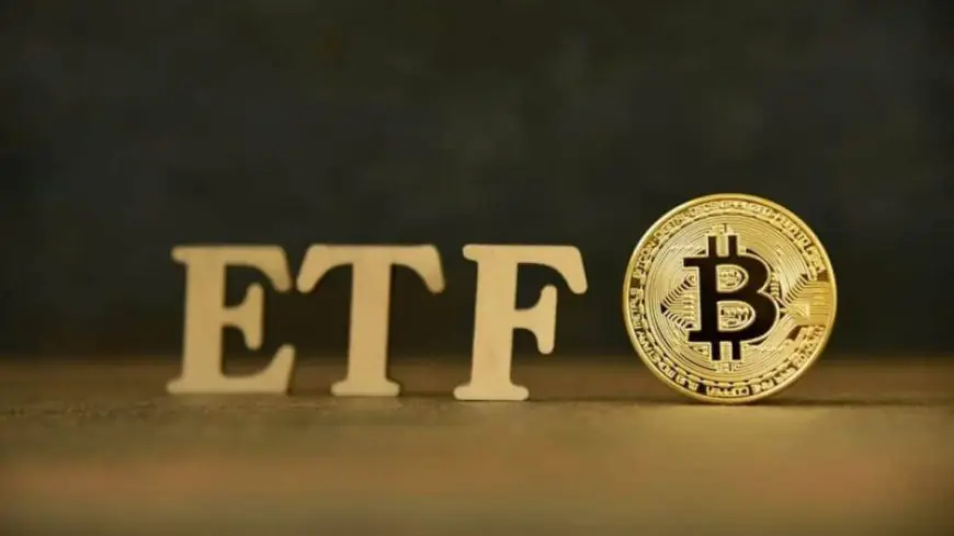 Rekordösszegű beáramlás érkezett novemberben a Bitcoin spot ETF-ekbe