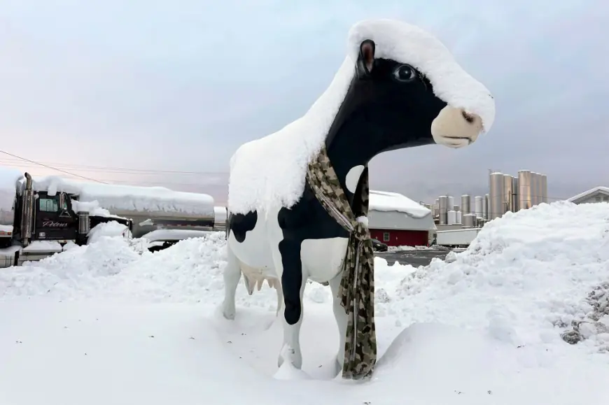 Paralyzing lake-effect snow dumps more than 40 inches in Great Lakes, upstate NY