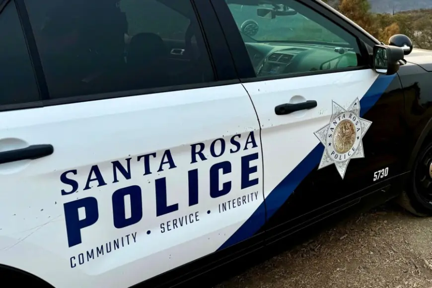 Santa Rosa officers suffer minor injuries while arresting suspects: police 