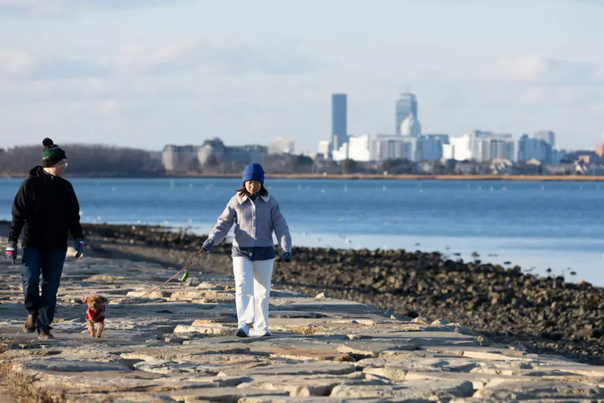 Boston to see freezing temperatures, chance of first snow in coming week