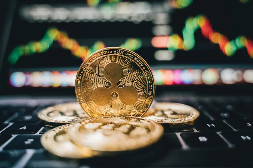 Crypto News: Ripple (XRP) A Standout During Crypto Bull Run, Cat Meme Coins Popular With Popcat And New Viral ERC 20 Token Surging