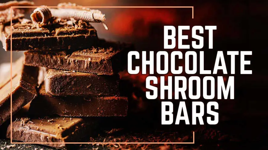 Ready to Try Chocolate Shroom Bars? Here Are the Best Mushroom Chocolate Brands