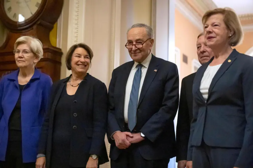 Democrats stick with Schumer as leader, their strategy for countering Trump is far less certain