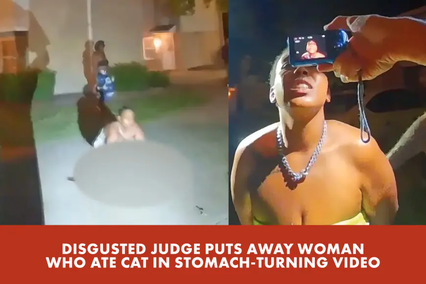 Disgusted judge sentences woman for eating cat: ‘This is repulsive to me’ | Reporter Replay