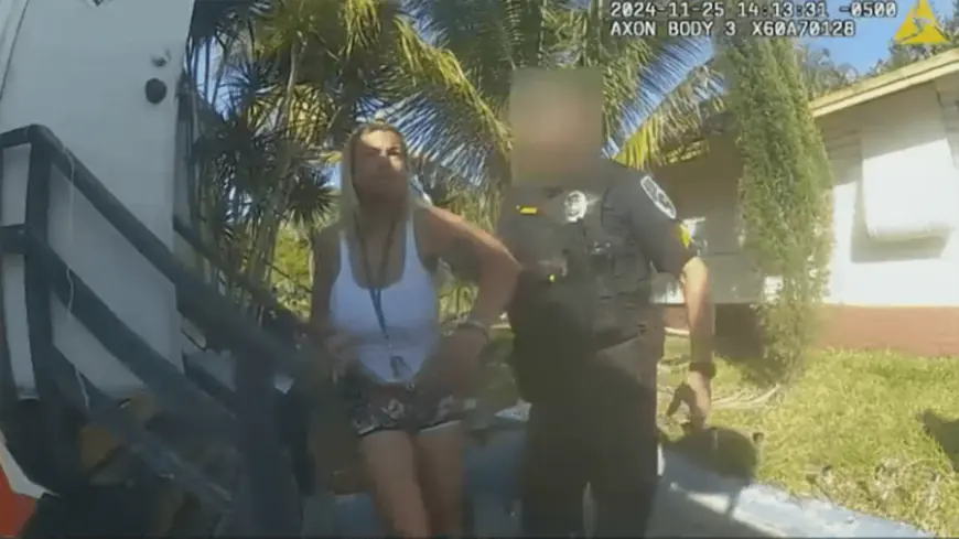 Hallandale Beach woman accused of trying to kidnap 3-year-old from his backyard