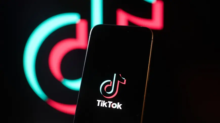 TikToks biggest trends in 2024, from brat summer to a Moo Deng in finance