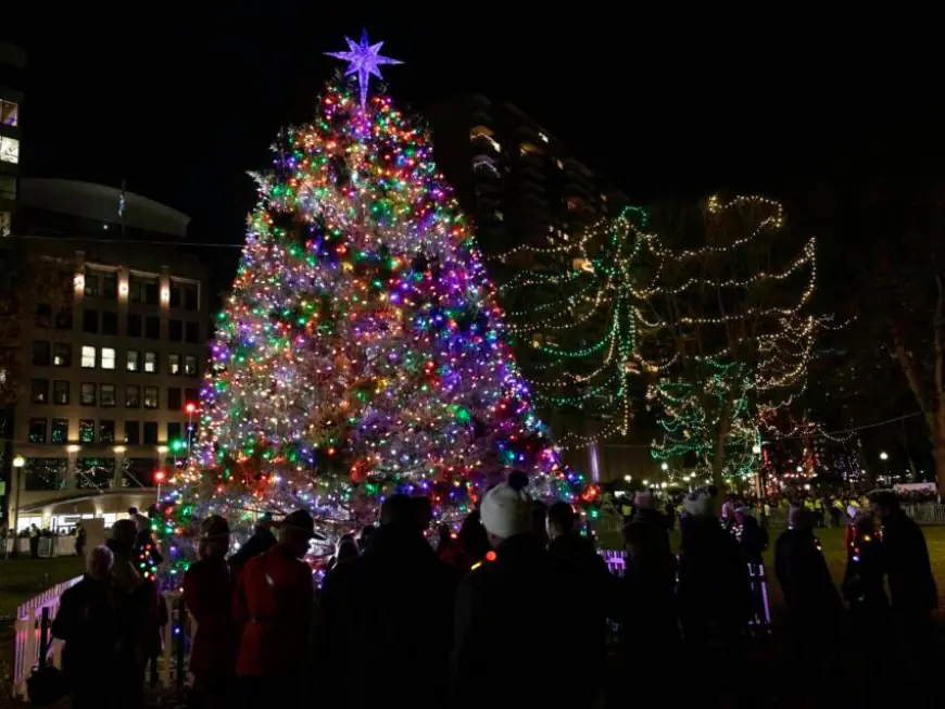 How big is the star? Facts and figures about the Boston Common tree