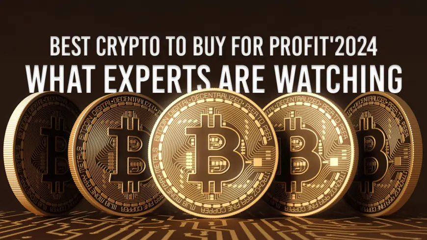 3 Coins Experts Recommend for Long-Term Growth: Why These Cryptos Are Perfect to Join Now