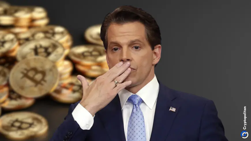 Anthony Scaramucci jokes about buying Donald Trump a Christmas gift as he and other Bitcoin bulls celebrate BTC at $100K