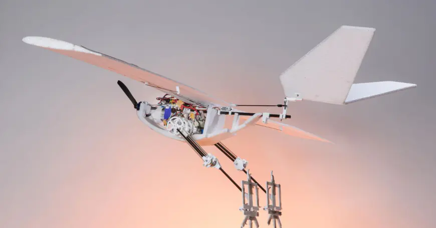 Researchers put bird legs on a drone so it can take off by jumping