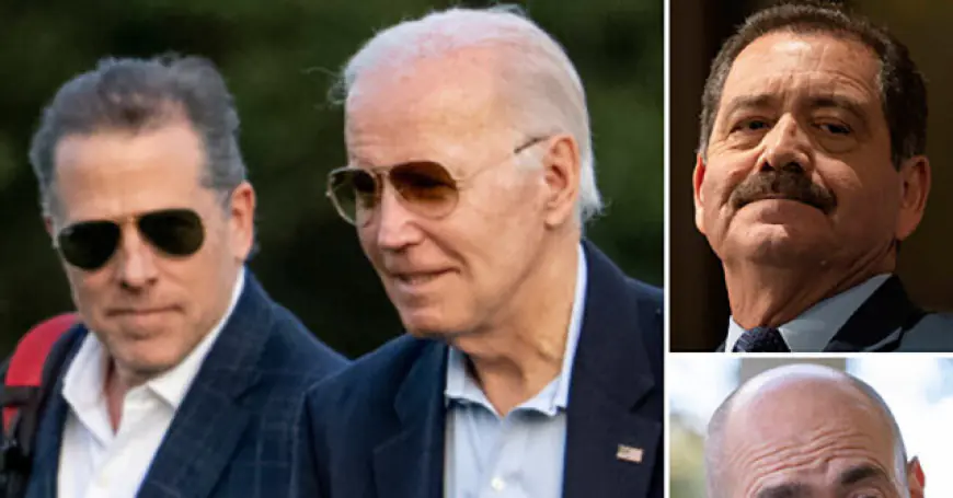 Report: House Democrats 'Angry' at Biden, Hunter Pardon Pushed Them 'Over the Edge'