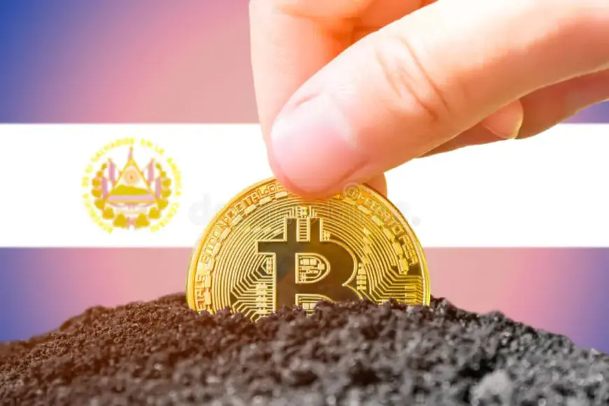 Unrealized Bitcoin Gains: El Salvador Hits $333 Million